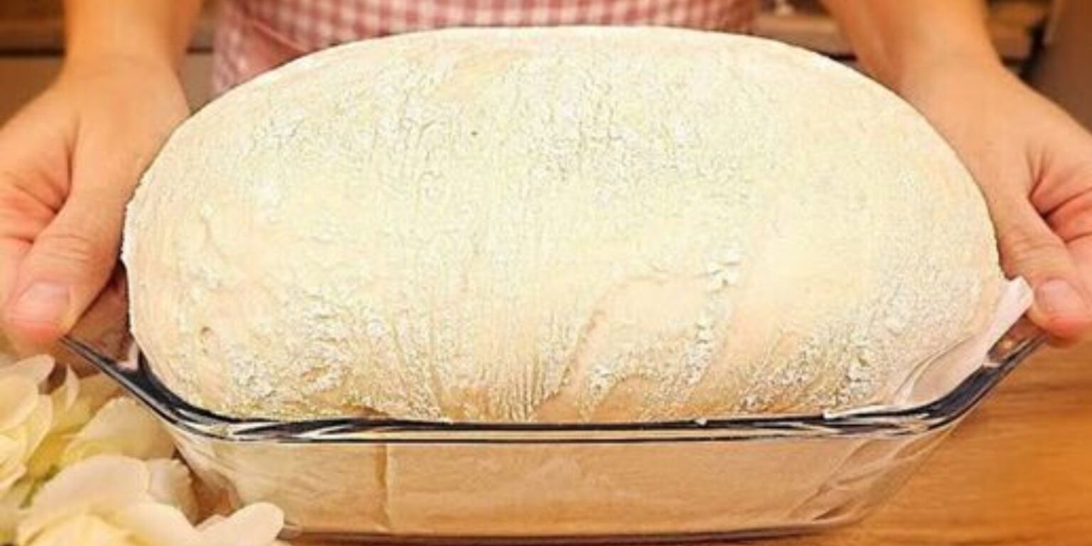 100 Jahre altes Hausbrot: Omas überliefertes Rezept für rustikales ...