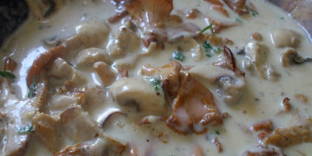 Mit Pilzsauce im Mund zergehen - Rezepte &amp; Tipps