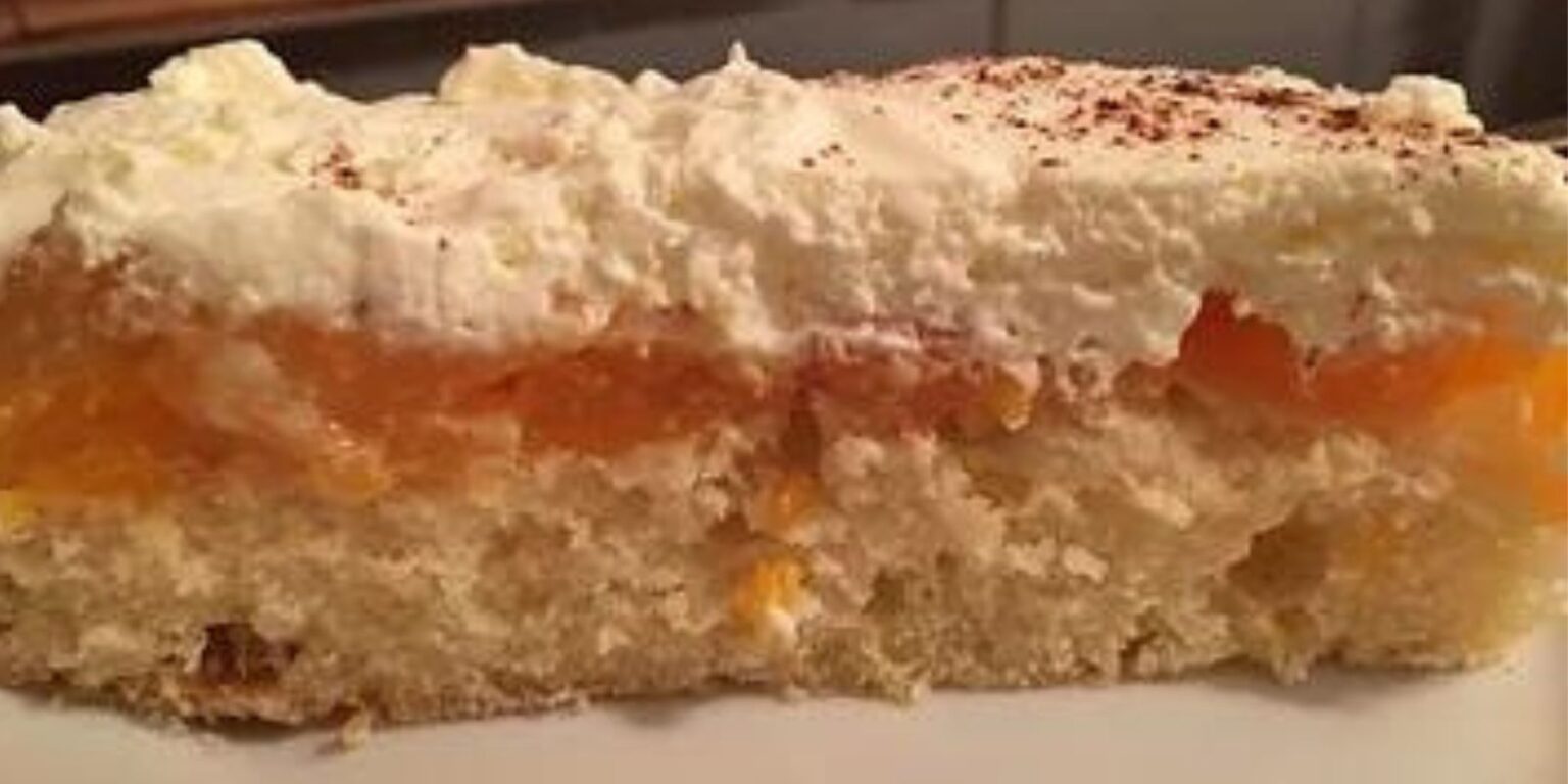 Der einfachste Kuchen der Welt! - Biskuit Mandarinenkuchen vom Blech ...