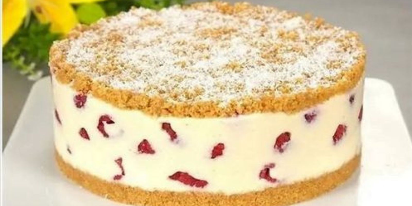 Schokoladen-Himbeer-Tarte - Rezepte &amp; Tipps
