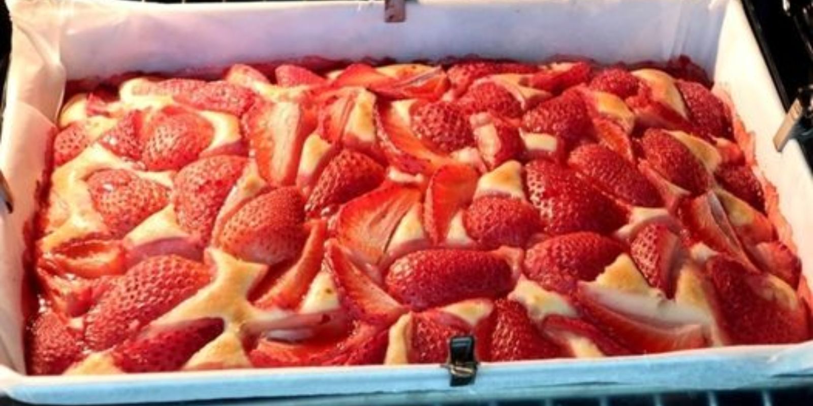 Erdbeer Joghurtkuchen vom Blech - Rezepte &amp; Tipps